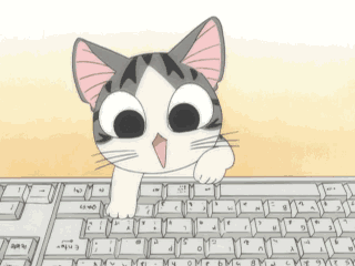 cat-typing-gif