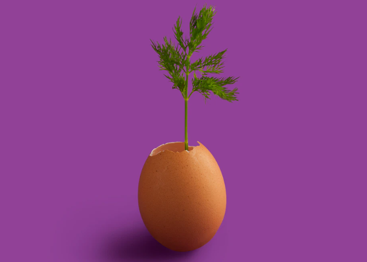 purple-egg-idea