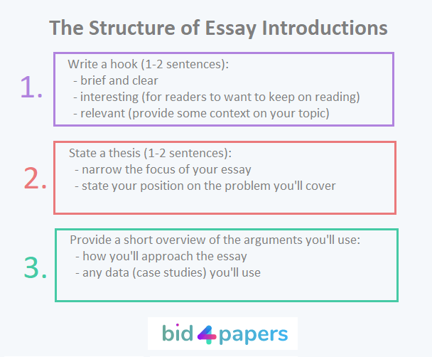 what do you write in an introduction of an essay