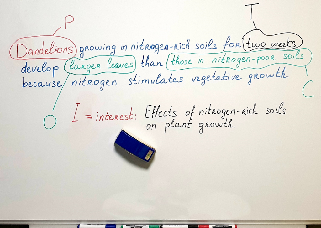 how to do a hypothesis without using first person