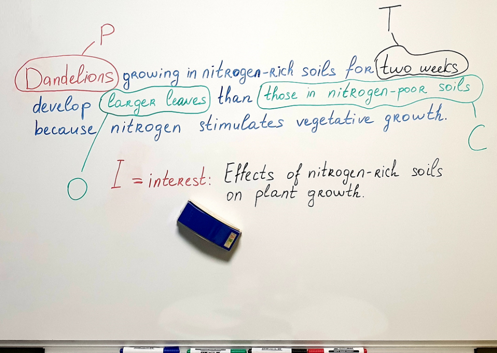10 Easy Steps How To Write A Hypothesis In 2024