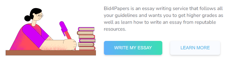 write-my-essay-bid4papers