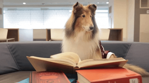 A dog flips through a science book